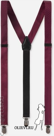 Hosenträger Festlich