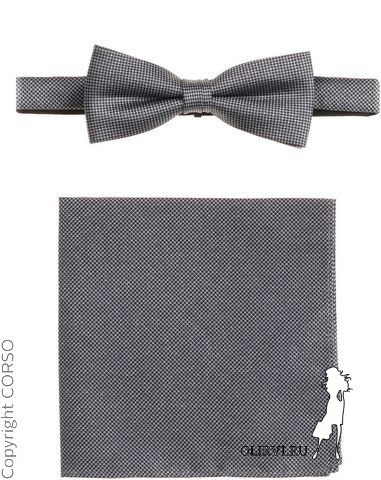 Fliege & Einstecktuch Set